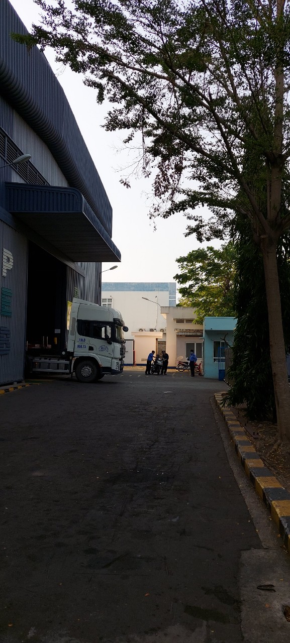 Trực công ty